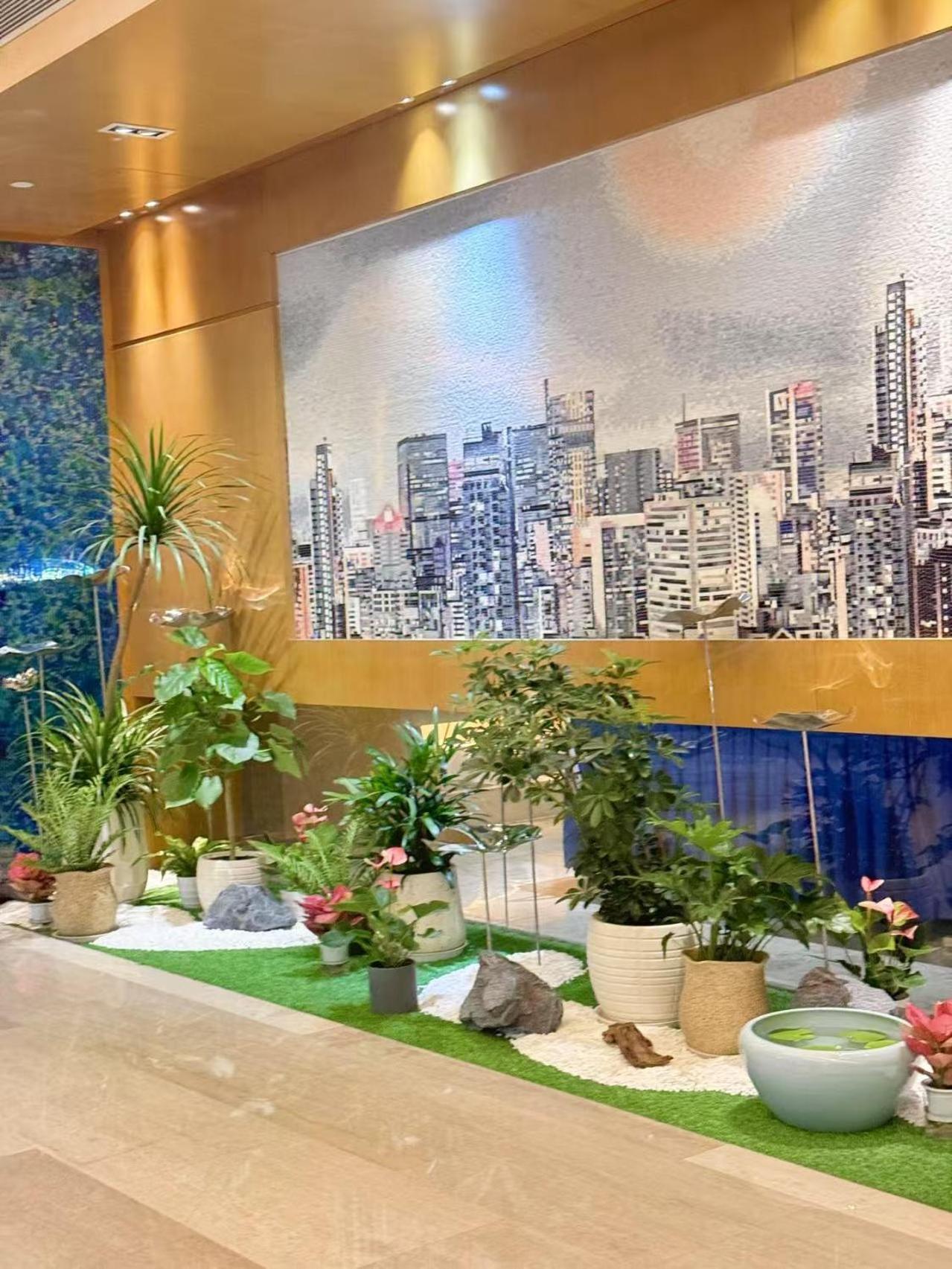 Express New Jinqiao By Ihg Hotel